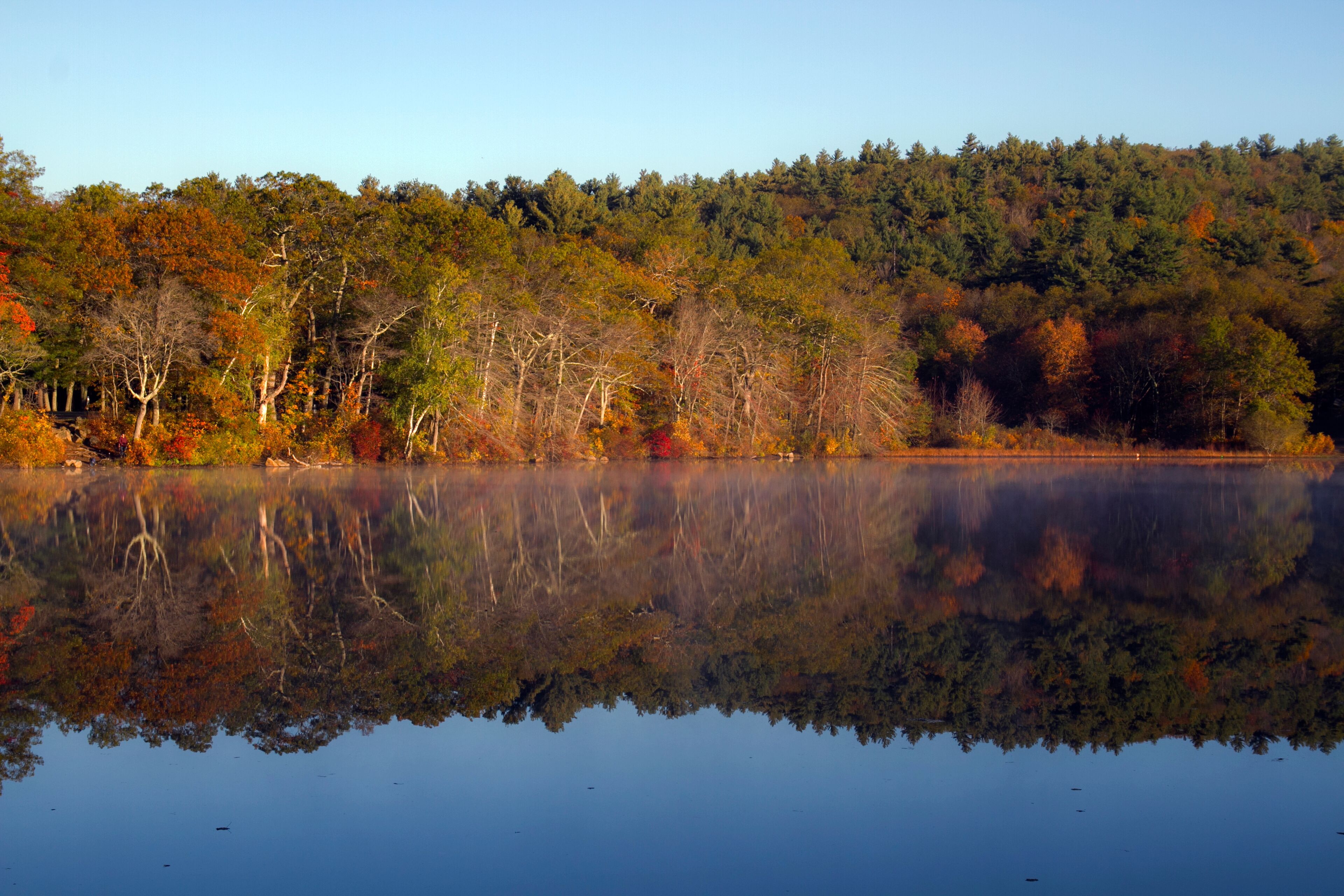 Fall Reflections on Houghton's Pond, Milton MA