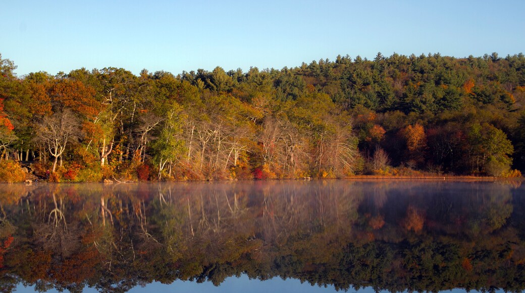 Fall Reflections on Houghton's Pond, Milton MA
