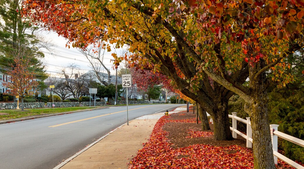 New England Small Town in the Autumn Foliage