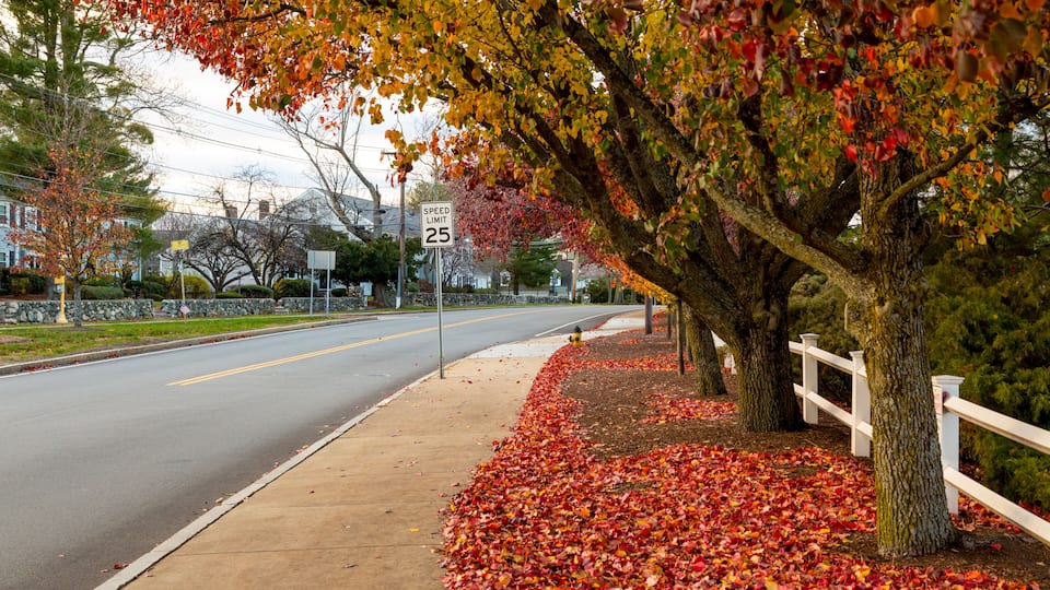 Top 10 Hotels in Brockton, MA (from $98) 2026 - Competitive Prices ...