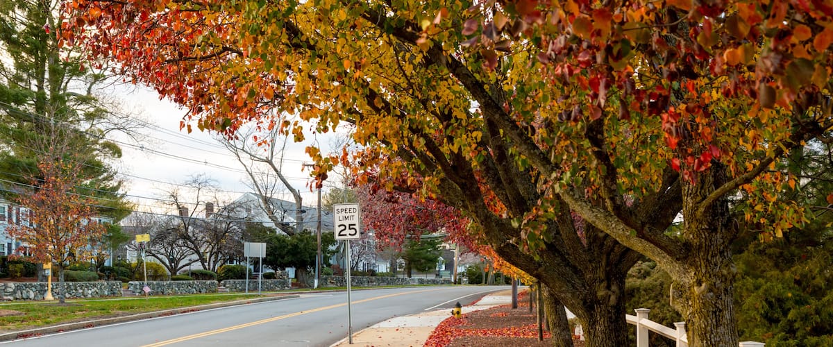 A tree-lined street with autumn leaves, a speed limit sign, and a white fence along the sidewalk.