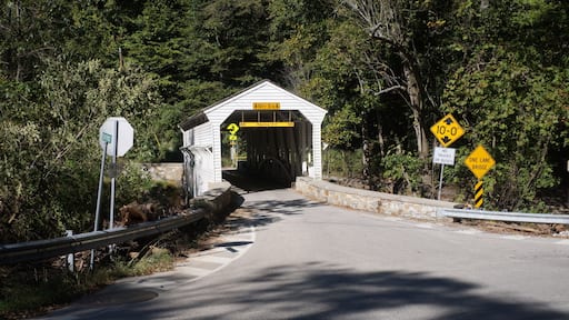 White Wooden Covered Bridge with Greenery in Sunlight