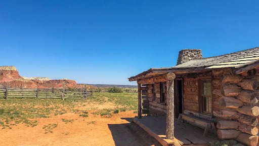Ghost ranch, Abiqui NM
We did a short hike to see the sights.. it was just perfect and beautiful #hike #cabin #ranch #newmexico