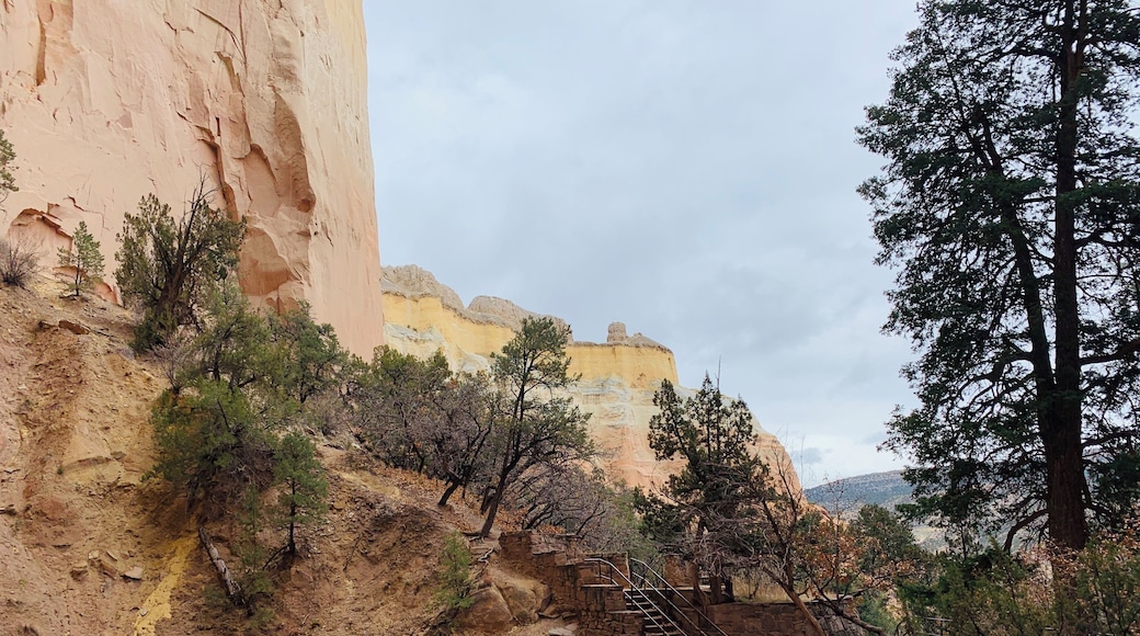 Wandered into Echo Amphitheater in Carson National Forest. #trovember #newmexico #nature #adventures #hiking