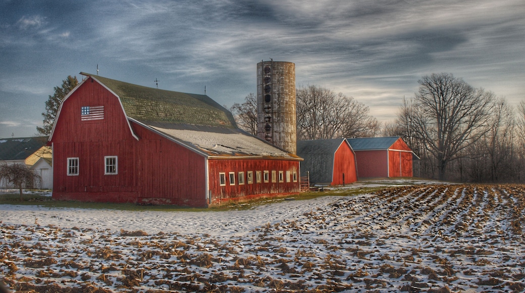 0168 - Mitchell Lake Road Red I (0168-BAR-121917-1019A)