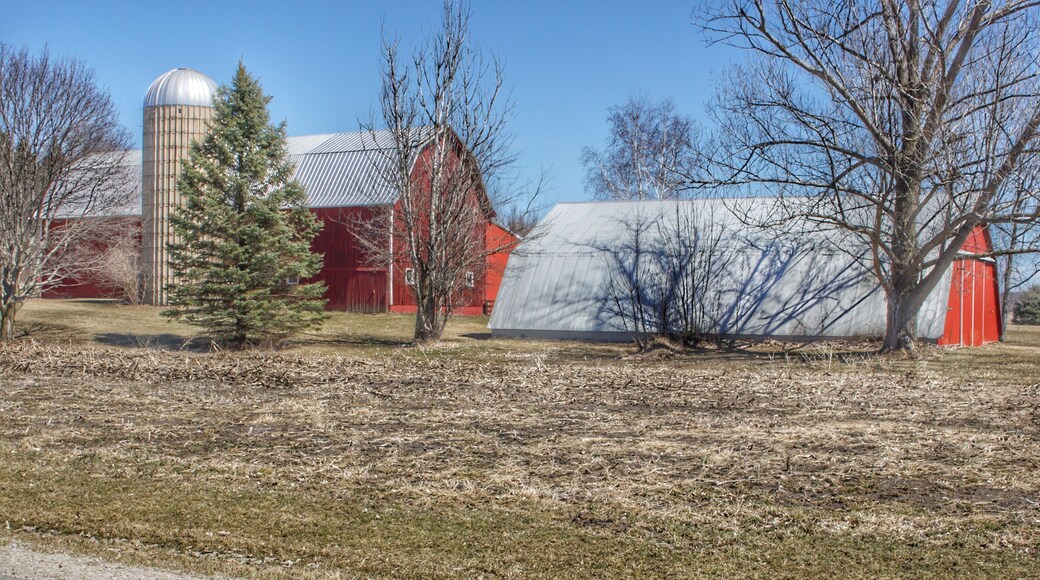 0857 - German Road Reds (0857-BAR-040319-0148P)