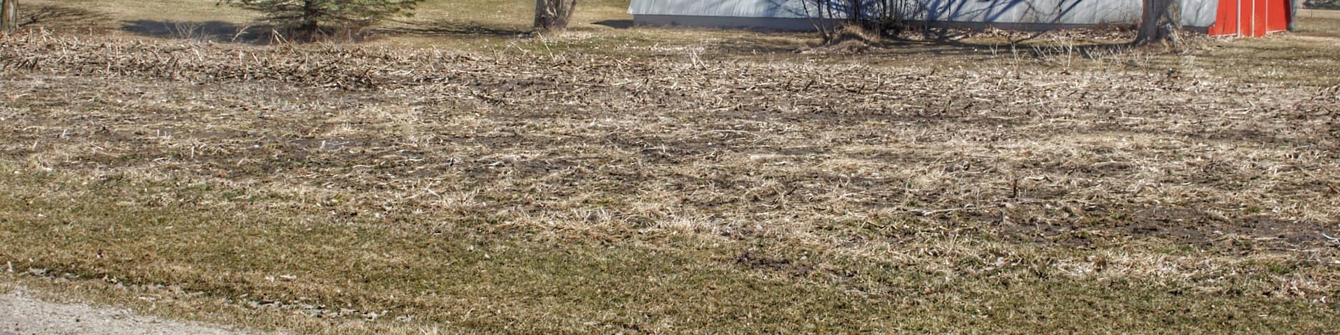 0857 - German Road Reds (0857-BAR-040319-0148P)