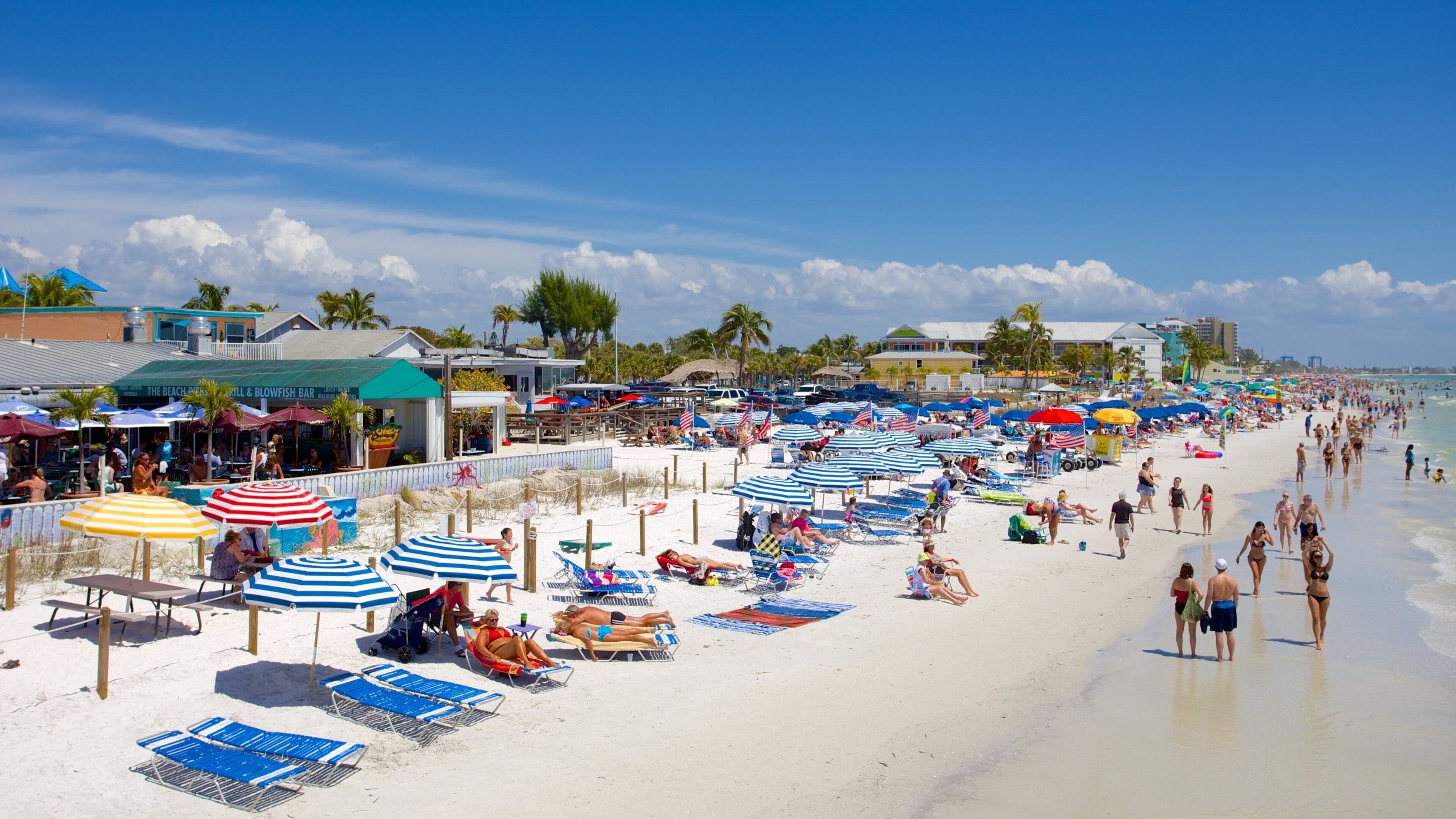 A crowded beach with numerous umbrellas and beach chairs.