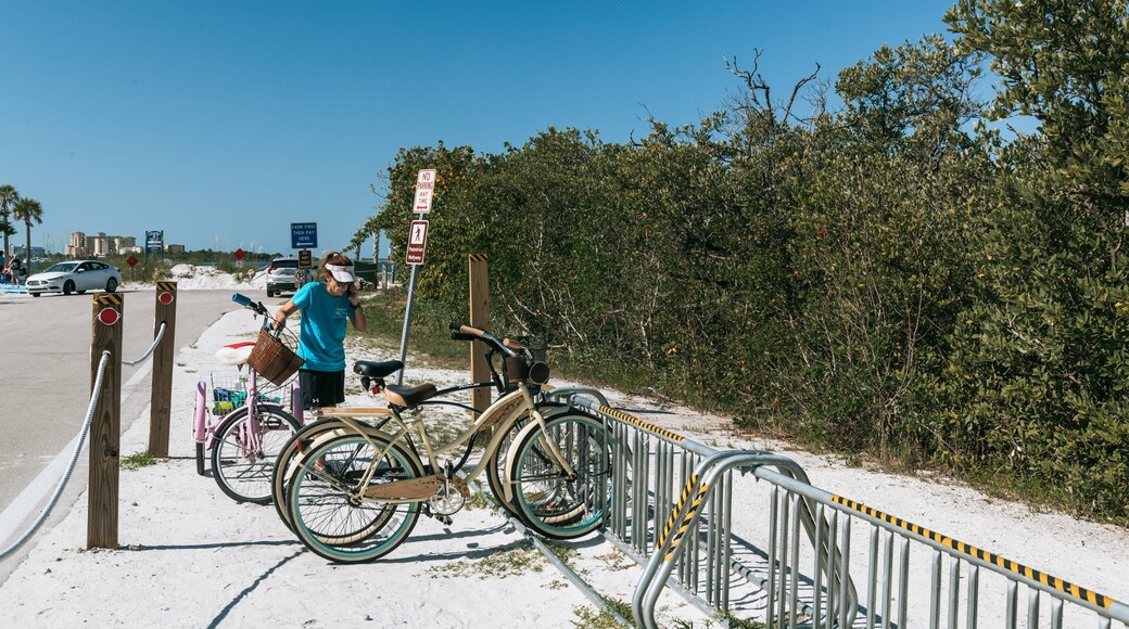 Fort Myers Beach featuring a beach as well as an individual femail