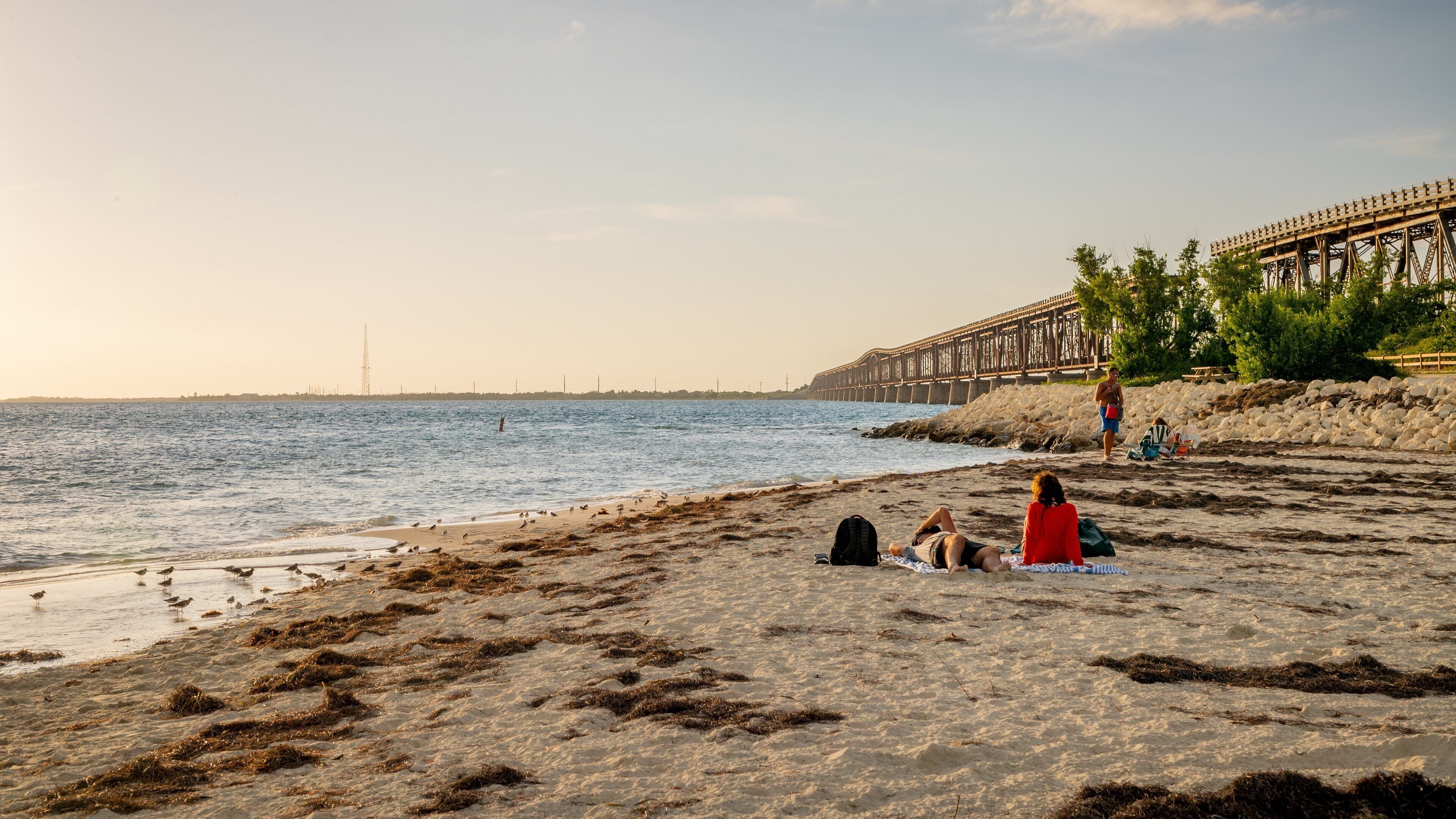 Een strand met wier, een steiger en mensen die ontspannen.