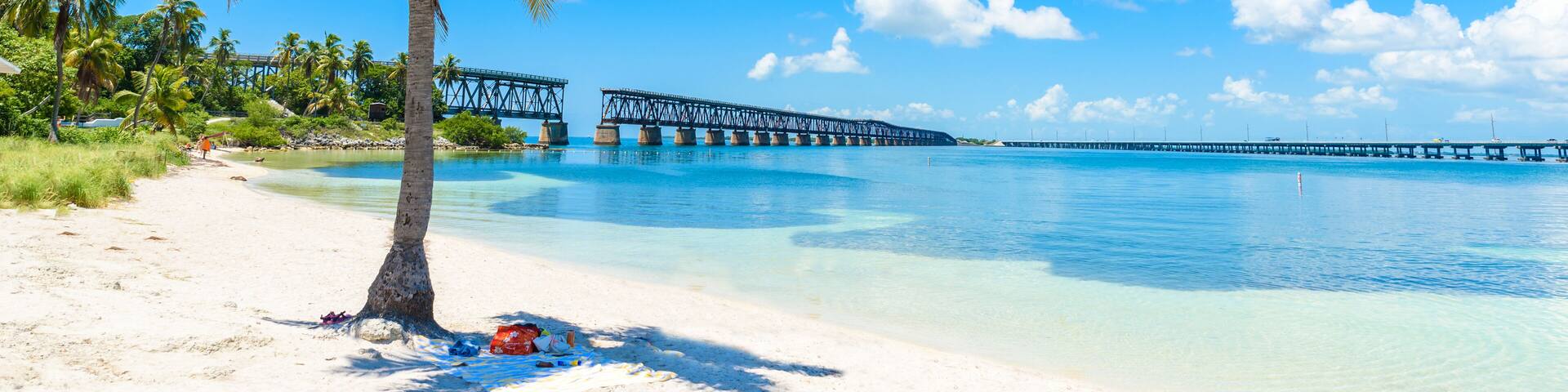 A beach with a palm tree, clear blue water, and a bridge in the distance.