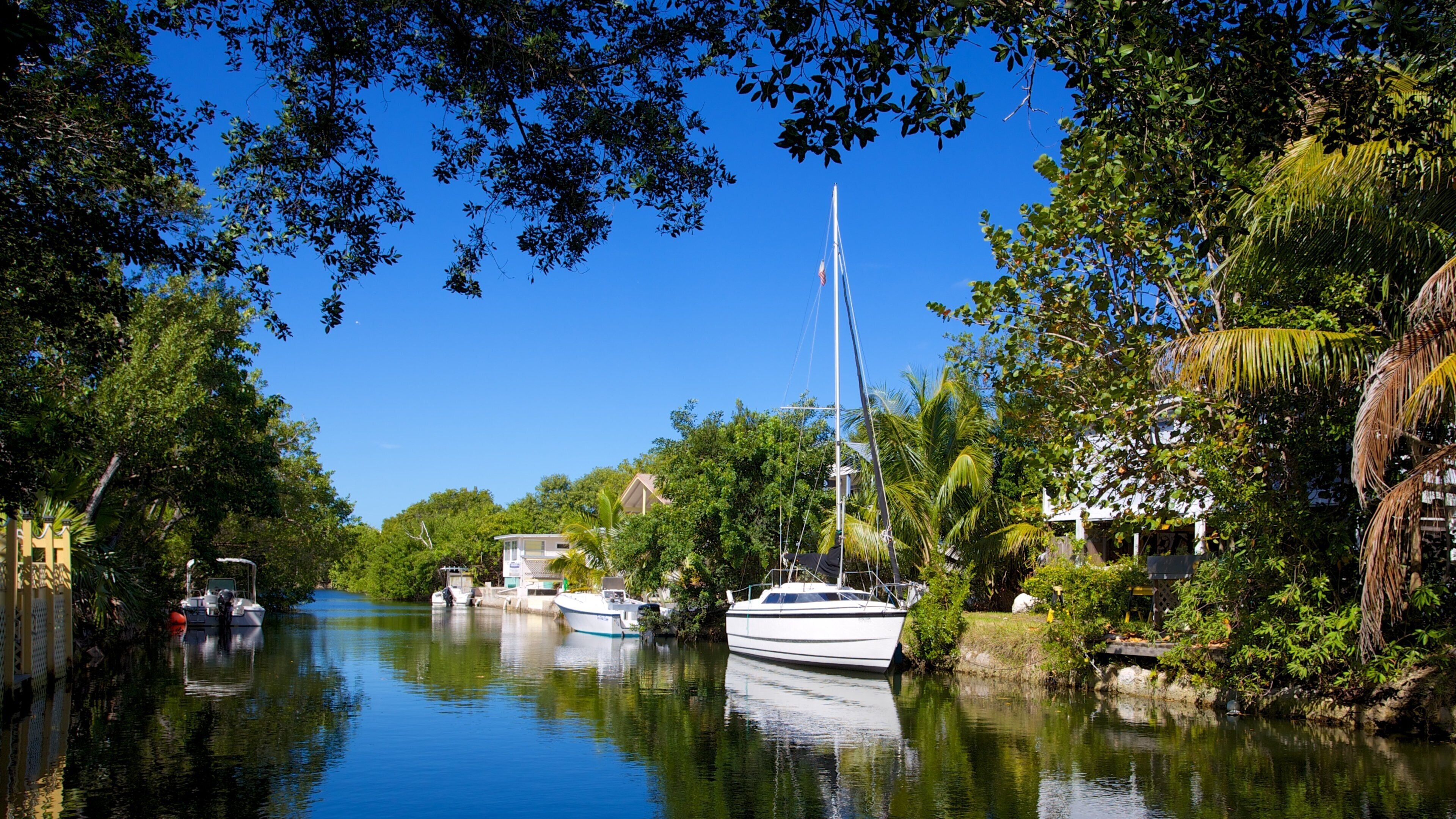 A calm river with boats, lush greenery, and a clear blue sky.