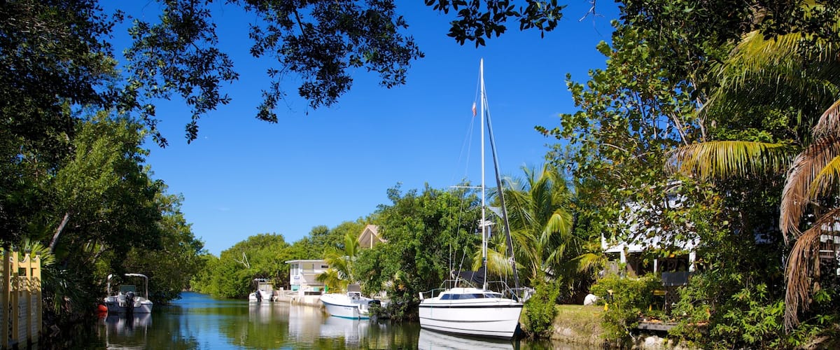 A calm river with boats, lush greenery, and a clear blue sky.