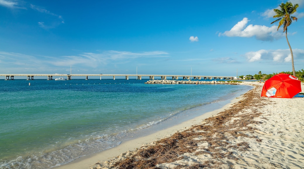 Bahia Honda State Park showing general coastal views, a bridge and a beach