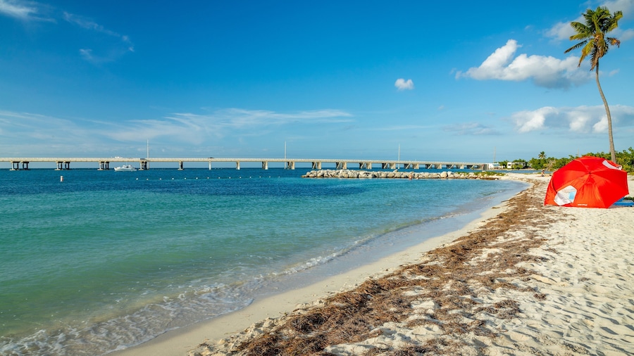 Bahia Honda State Park showing general coastal views, a bridge and a beach