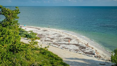 Bahia Honda State Park featuring general coastal views, a beach and landscape views