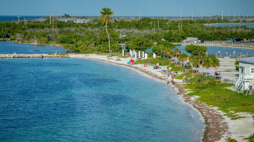 Bahia Honda State Park featuring general coastal views and landscape views