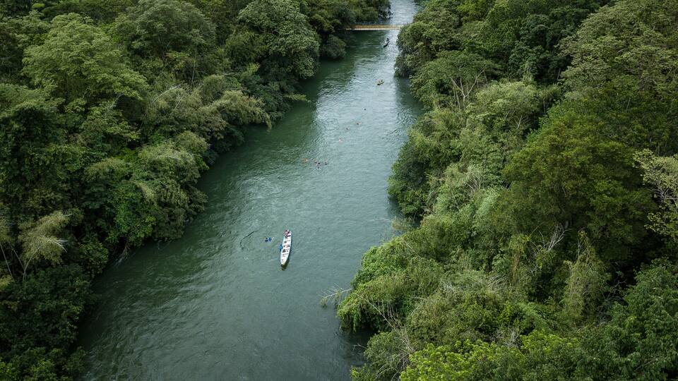 A river surrounded by dense green foliage.