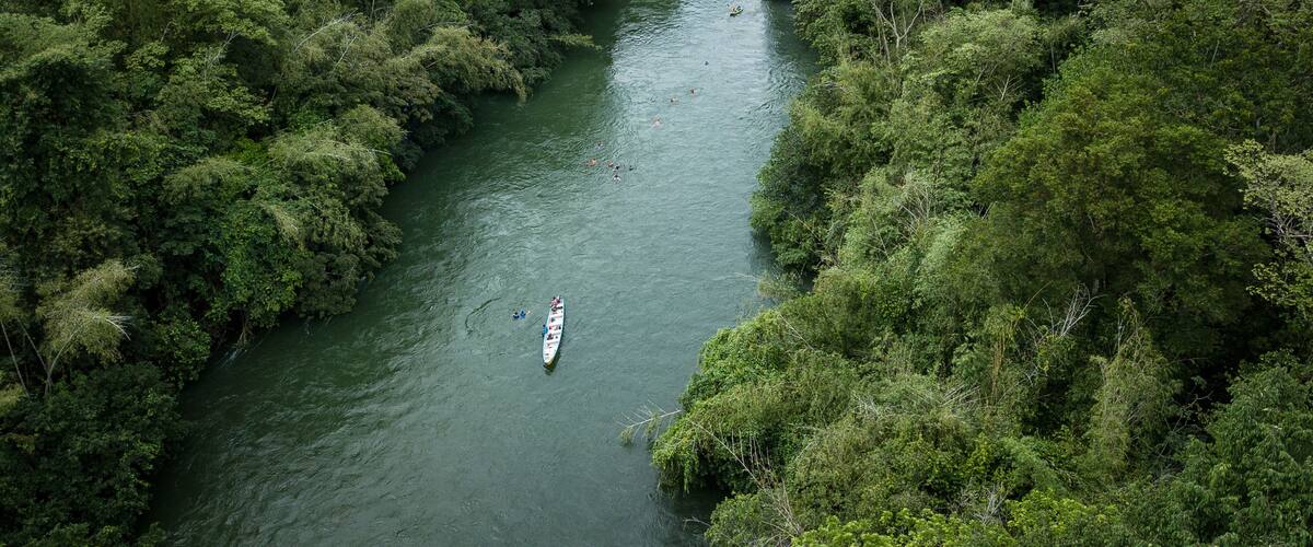 A river surrounded by dense green foliage.