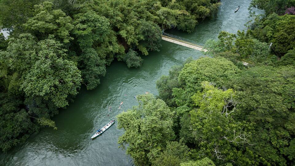 A river surrounded by dense forest, a bridge, and a boat.