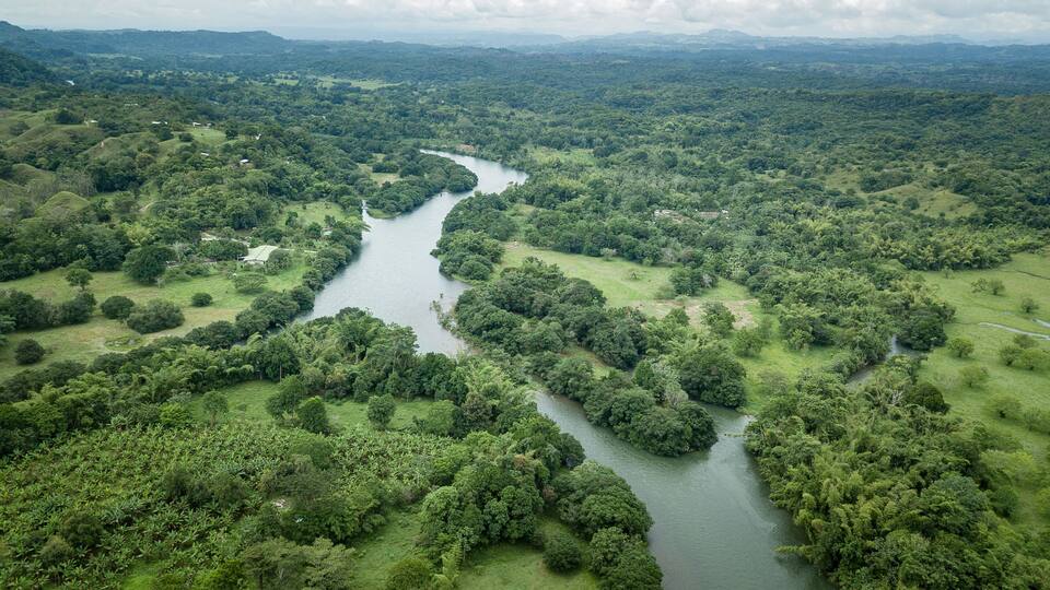 A river winding through a dense, green landscape with scattered buildings.