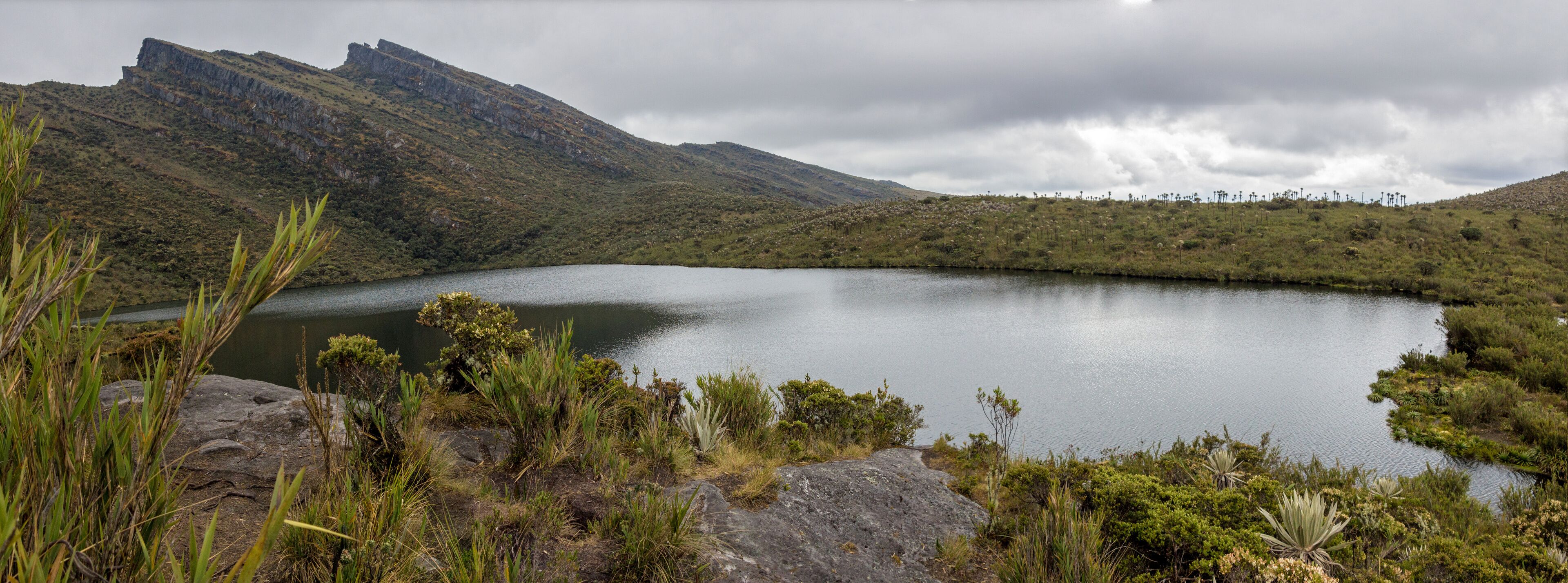 A lake surrounded by mountains and vegetation.