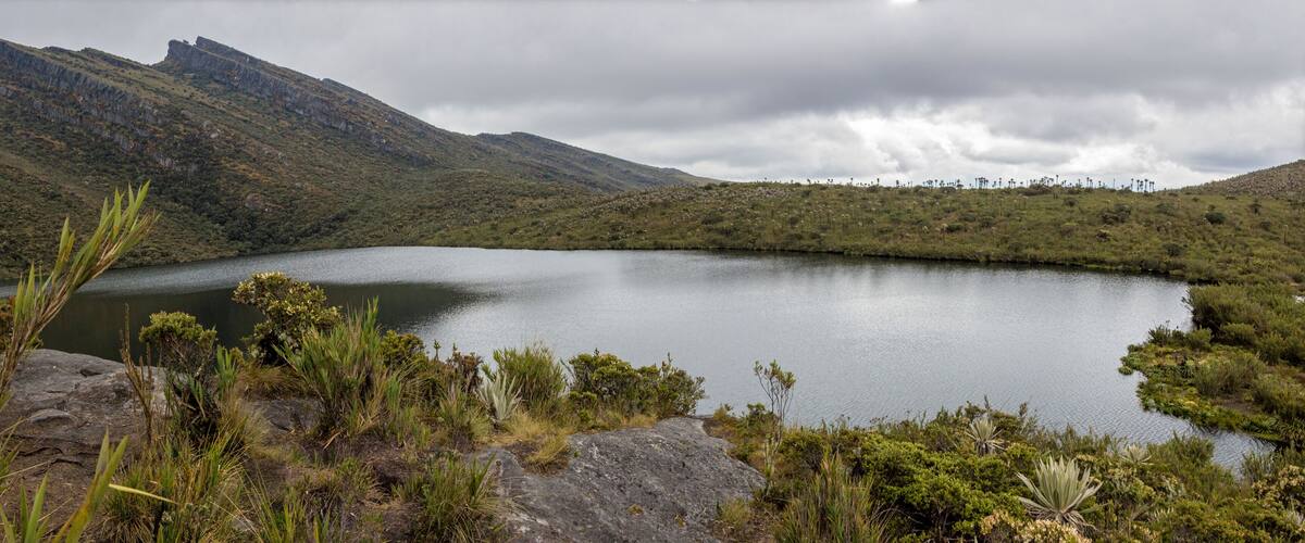 A lake surrounded by mountains and vegetation.