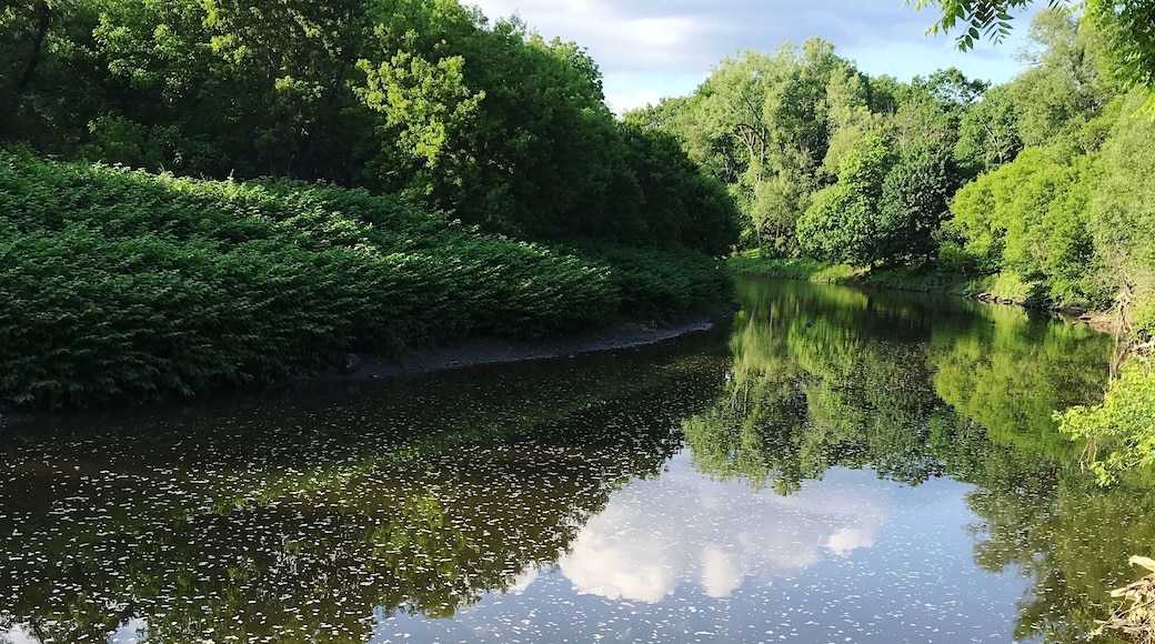 #riverside #rivers #riverwalk #riverview #nature