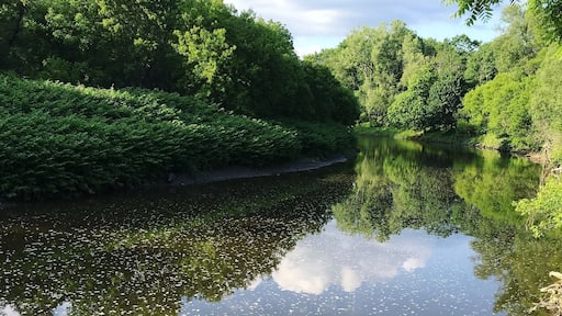 #riverside #rivers #riverwalk #riverview #nature