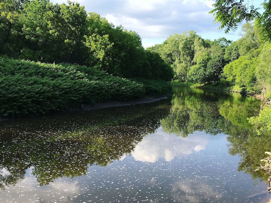 #riverside #rivers #riverwalk #riverview #nature
