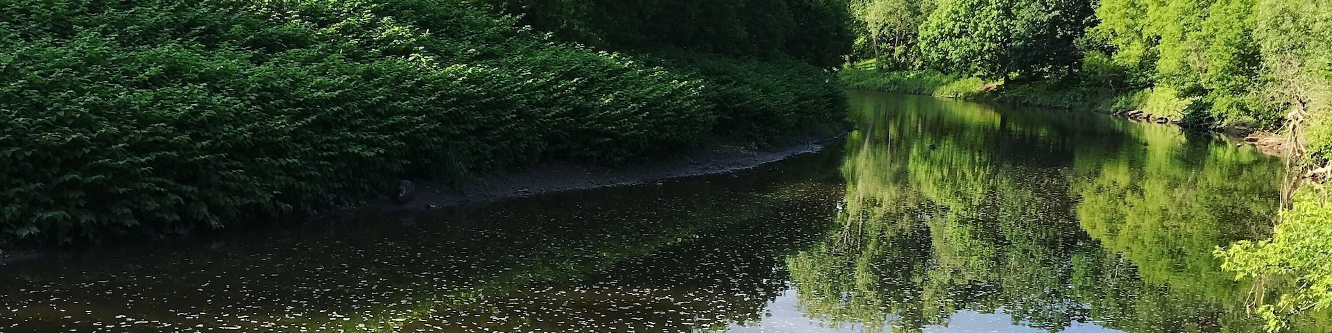 #riverside #rivers #riverwalk #riverview #nature