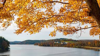 A lake with autumn foliage, a bridge, and a distant hill with buildings.