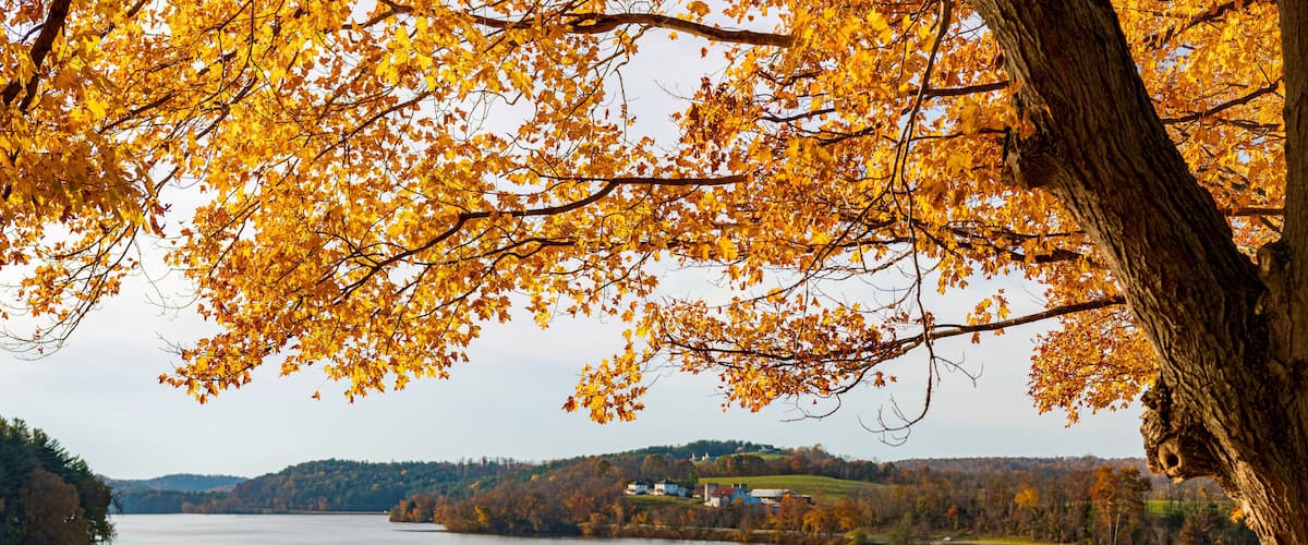 A lake with autumn foliage, a bridge, and a distant hill with buildings.