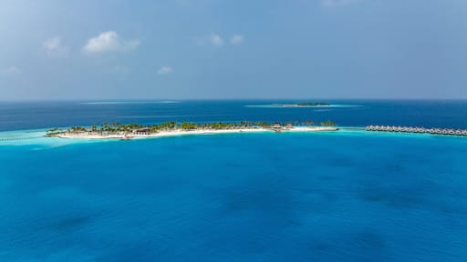 Ailafushi