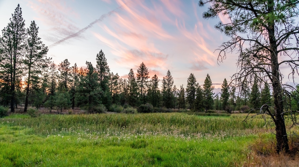 Sunset at Blackhorse Lake in Turnbull National Wildlife Refuge.