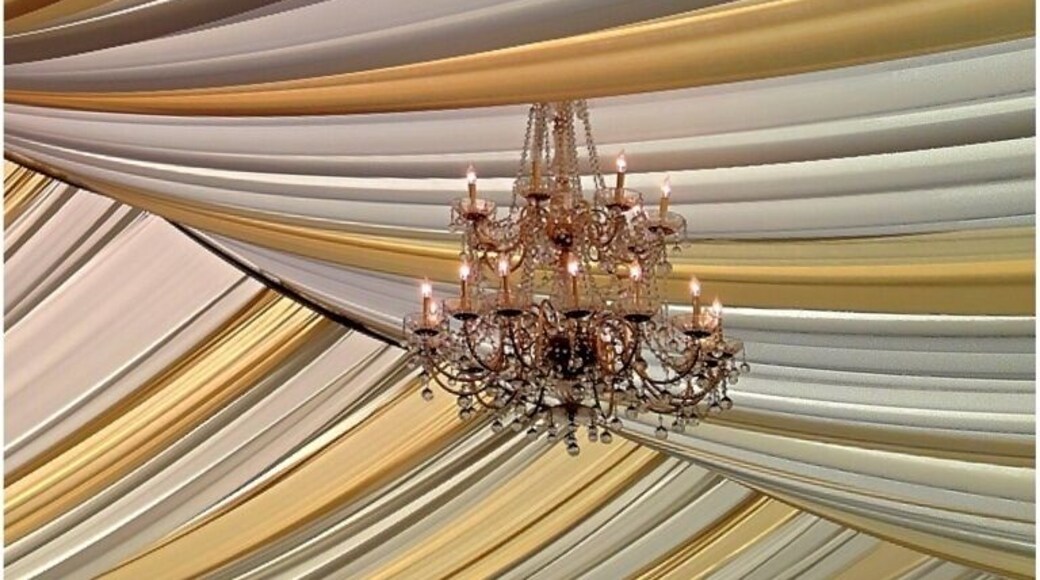 This picture was taken at the Monster-Mania Con being held at the Crowne Plaza Hotel. This was the tented area attached to the hotel where the the celebrities were autographing photos for fans. While everyone else was starstruck, I was photographing the ceiling!! Monster Con is usually held twice a year, three days in March & three days in August. This one particular Con included celebrities from True Blood, the Walking Dead & RoboCop. A must see for any horror, fantasy or sci-fi fans!