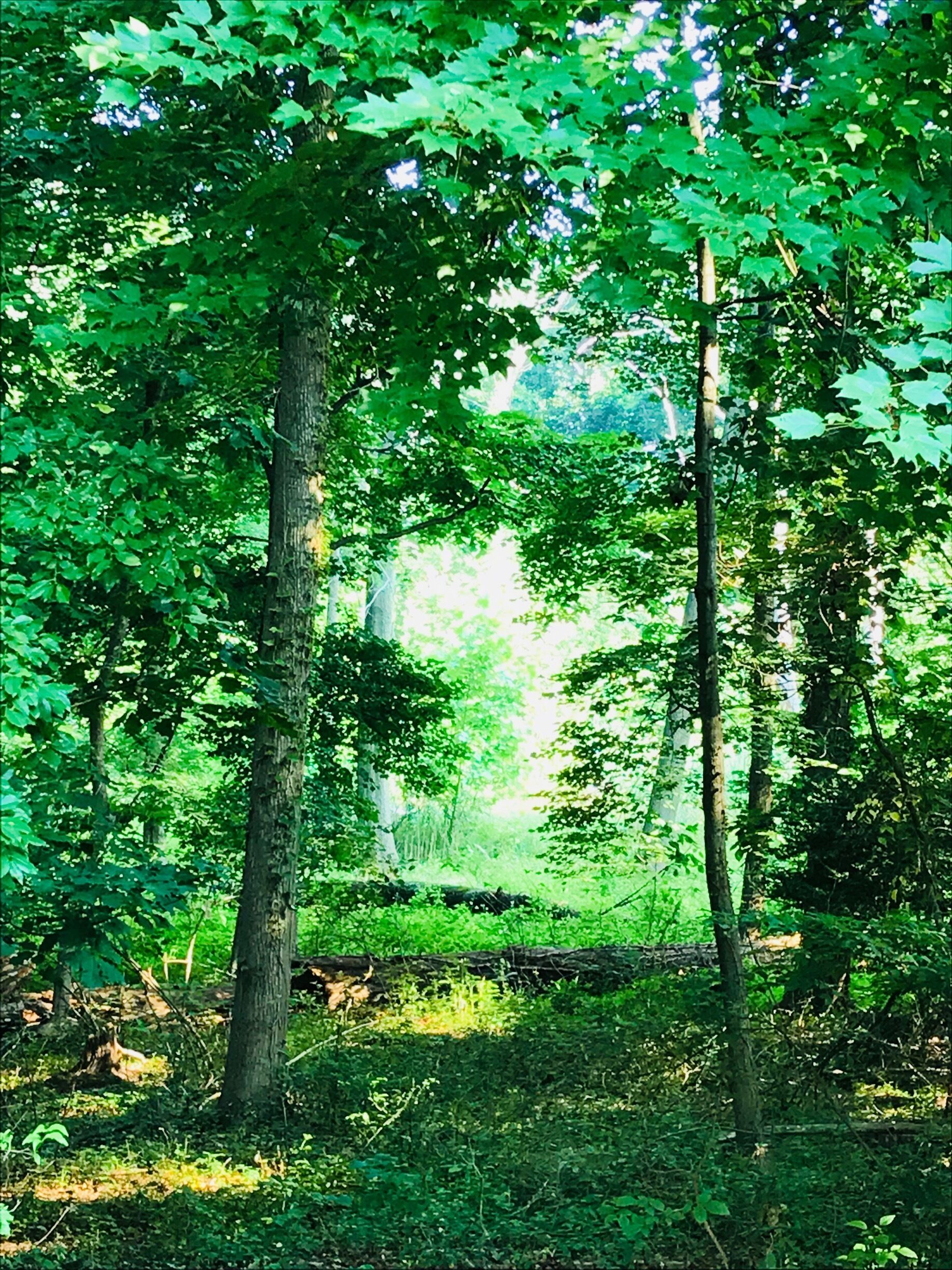 At the end of a street in a quiet neighborhood.