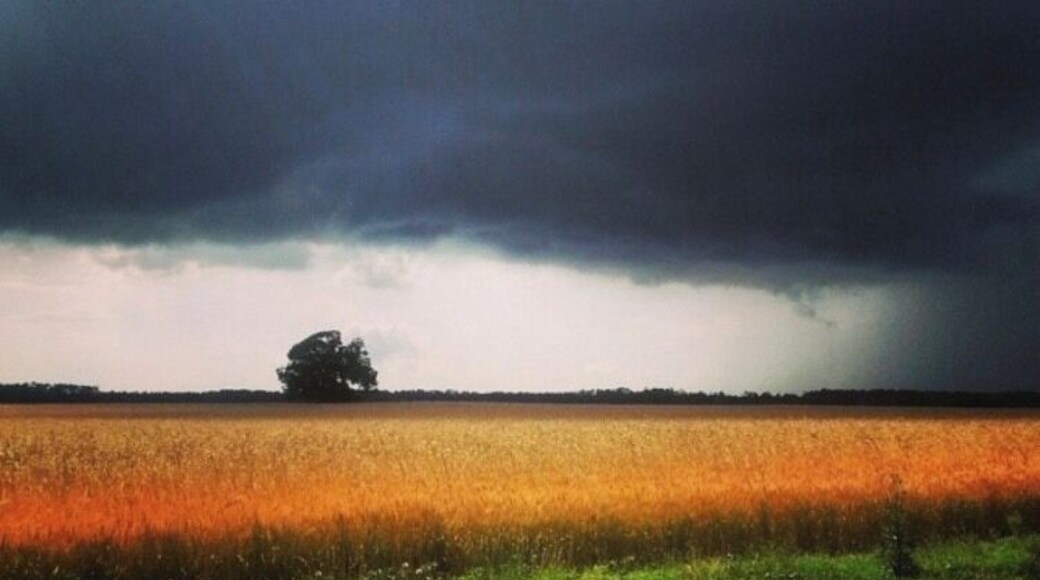 #HomeSweetHomeAlabama
#OnTheRoad