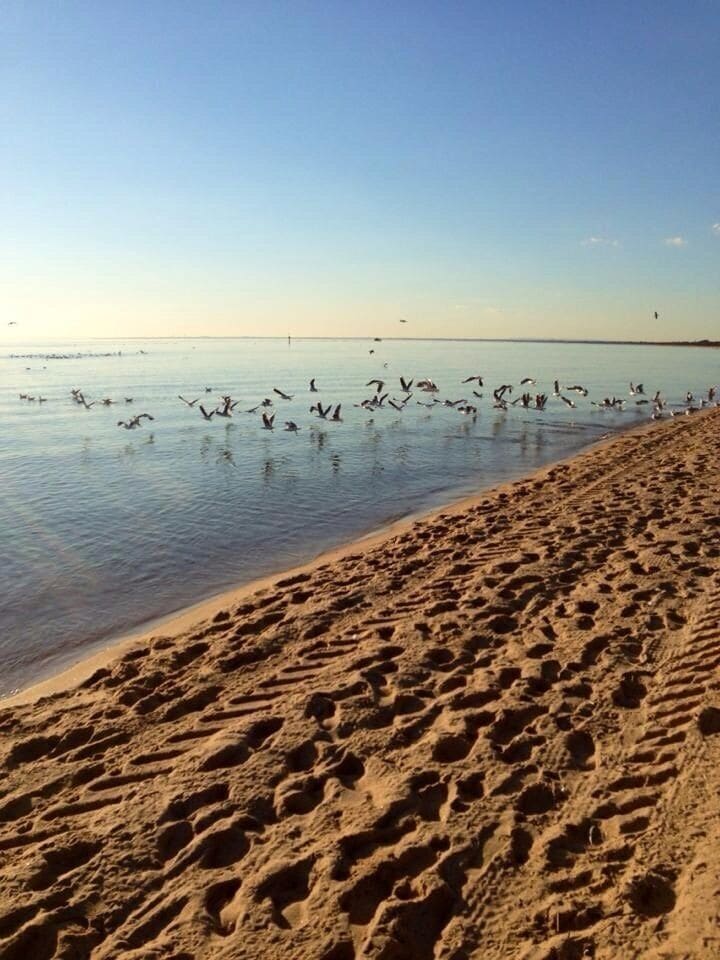 Looks like I scared the birds during my arvo walk 