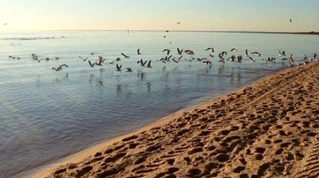 Looks like I scared the birds during my arvo walk