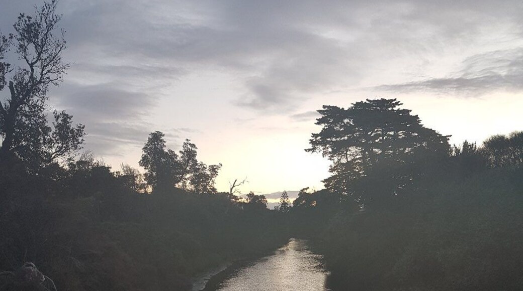 For years, I never looked beyond the beach to the creek that runs alongside it.
Now, whenever I visit somewhere new, I keep walking.
#localsecrets