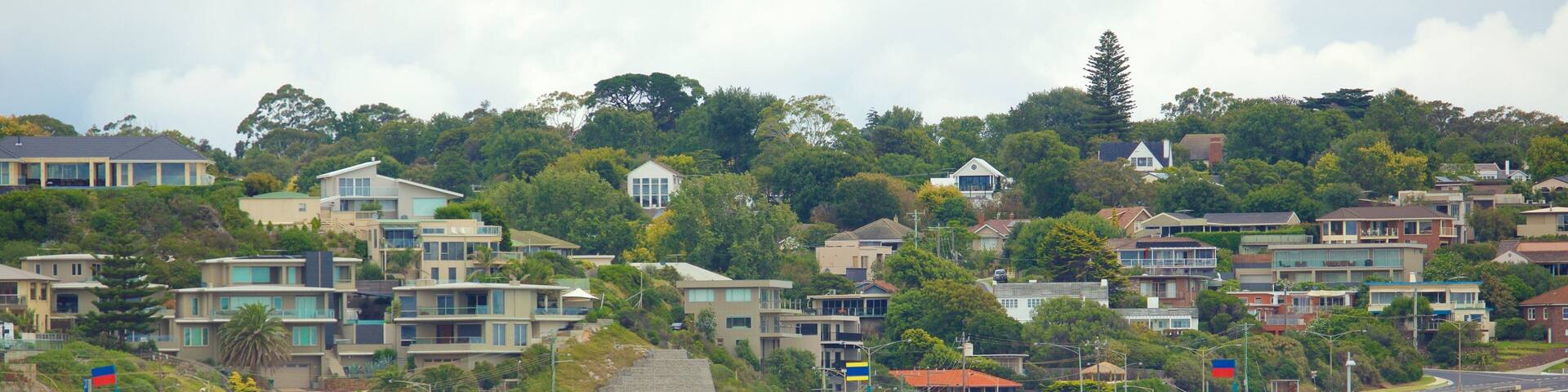 Frankston featuring a beach