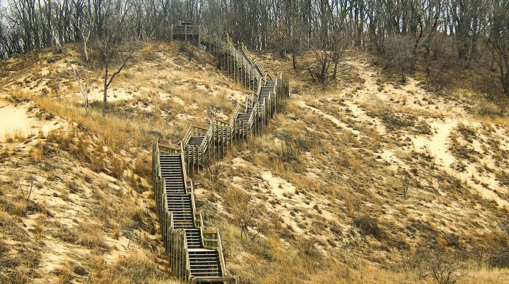Viewed on an early Spring day, a wooden staircase along a sandy hillside at Indiana Dunes National Park, near Chesterton, IN.