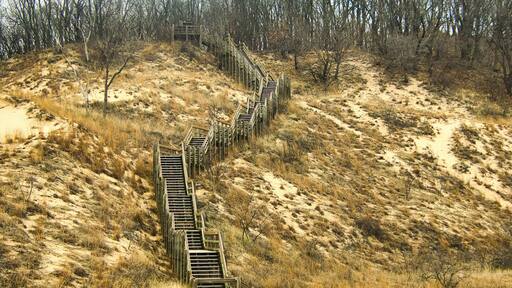 Viewed on an early Spring day, a wooden staircase along a sandy hillside at Indiana Dunes National Park, near Chesterton, IN.