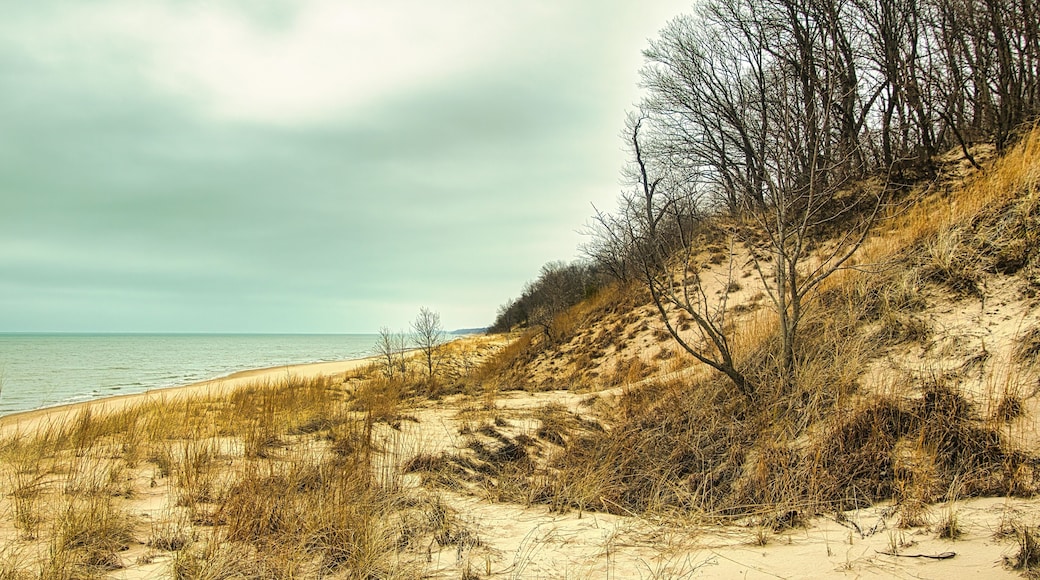 On a cloudy day in early Springtime, the view of Lake Michigan and the sandy dunes at Indiana Dunes State Park, near Chesterton, IN.