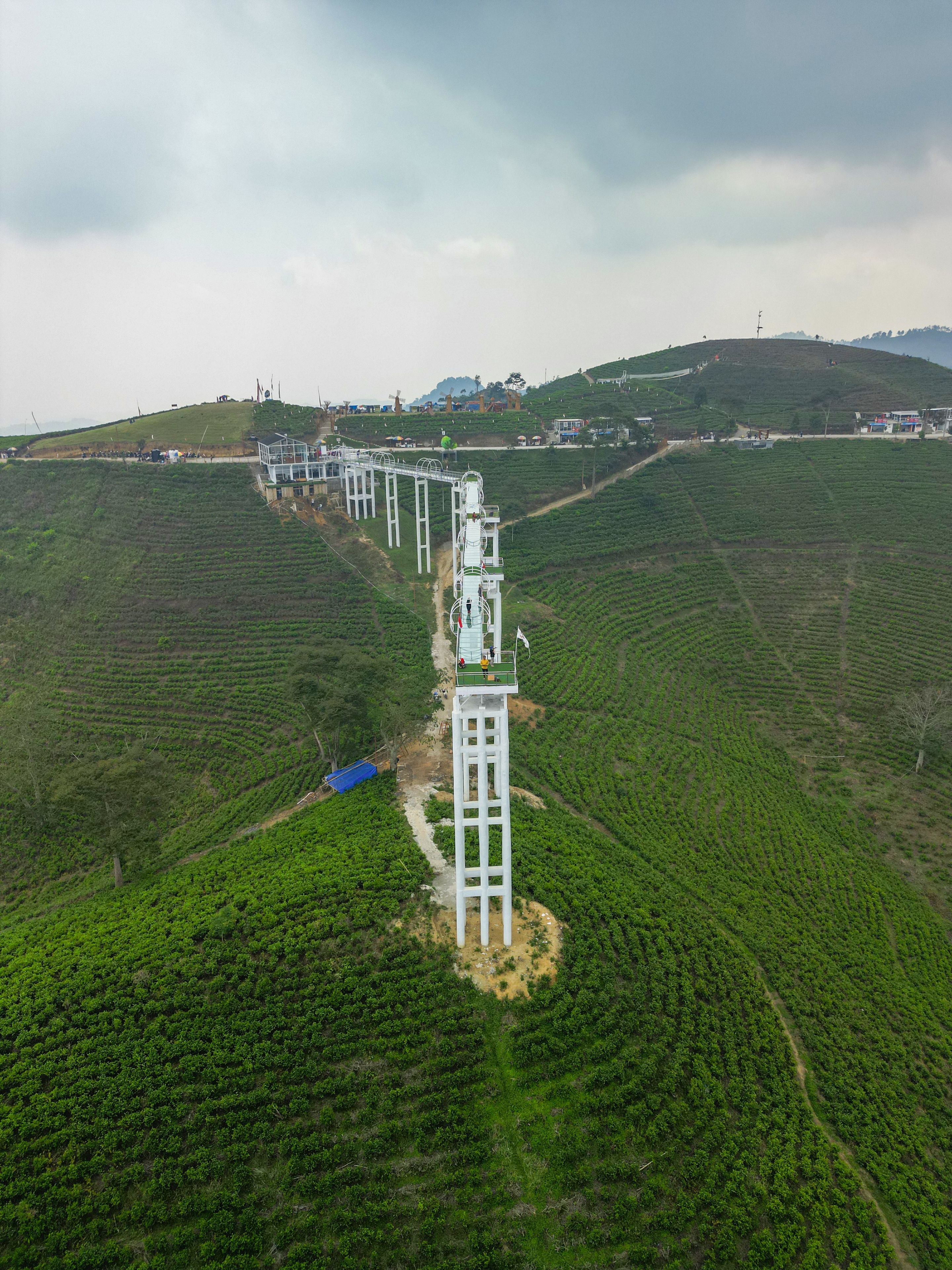 A large white tower amidst lush green tea plantations.
