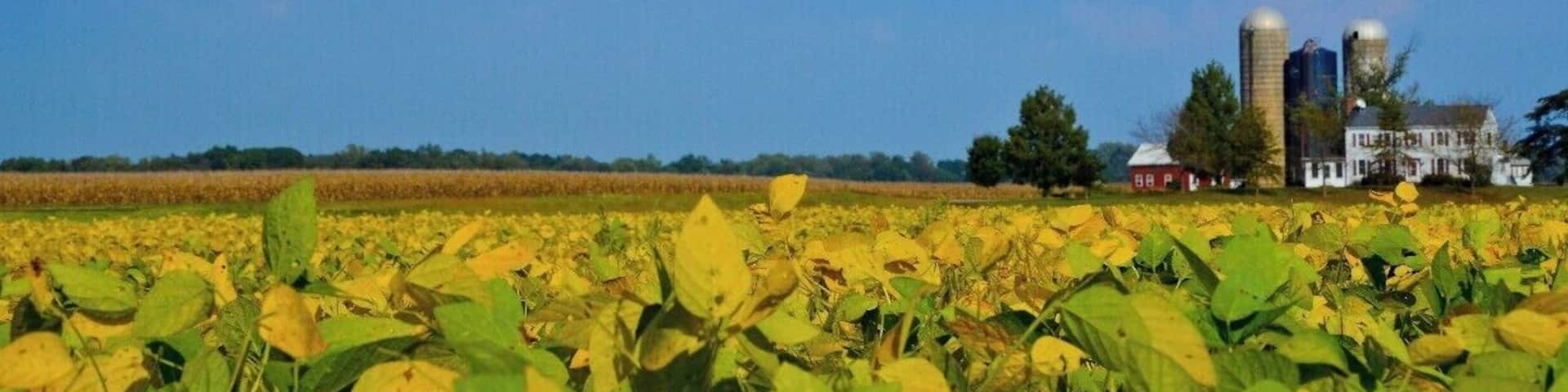 Eastern Shore Maryland, USA is between the Chesapeake bay and Delaware Bay. There are so many farms and fresh produce in this area just 20 minutes from the surrounding water ways. There are also small venues to eat and all have great crabs and crab bisque.