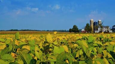 Eastern Shore Maryland, USA is between the Chesapeake bay and Delaware Bay. There are so many farms and fresh produce in this area just 20 minutes from the surrounding water ways. There are also small venues to eat and all have great crabs and crab bisque.