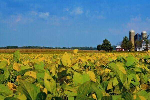 Eastern Shore Maryland, USA is between the Chesapeake bay and Delaware Bay. There are so many farms and fresh produce in this area just 20 minutes from the surrounding water ways. There are also small venues to eat and all have great crabs and crab bisque.