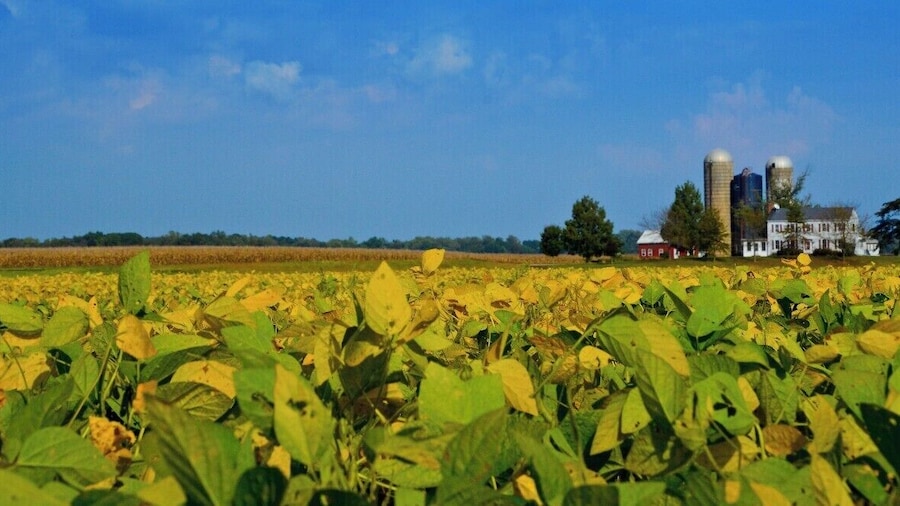 Eastern Shore Maryland, USA is between the Chesapeake bay and Delaware Bay. There are so many farms and fresh produce in this area just 20 minutes from the surrounding water ways. There are also small venues to eat and all have great crabs and crab bisque.